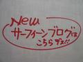 サーフィンスクールのブログ